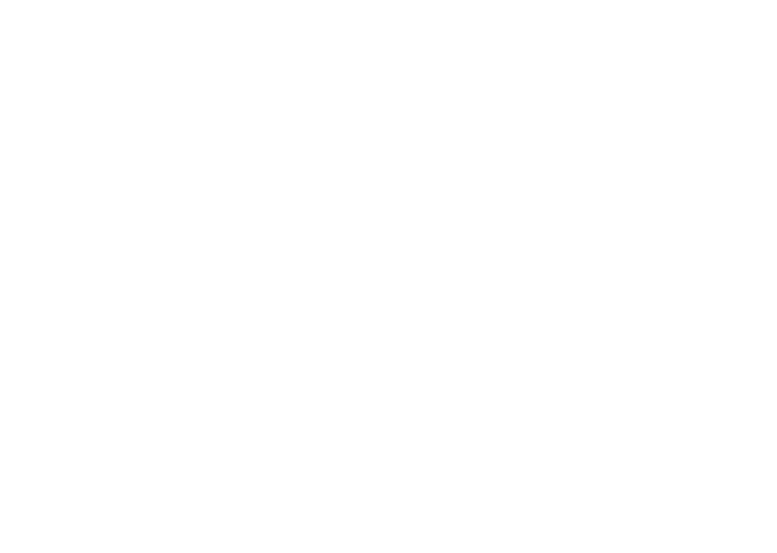 Crunchy Data Solutions logo